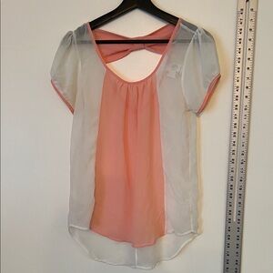 Jella Couture Sheer Pink and White Blouse